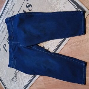 Avenue Denim Plus Size Skinny Jeans